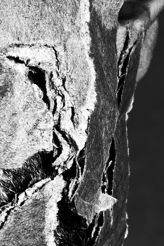 AXIOMA-Sintora-artista-Epiphainomenon-fotografia-arte-detalle-cara-2336X3504